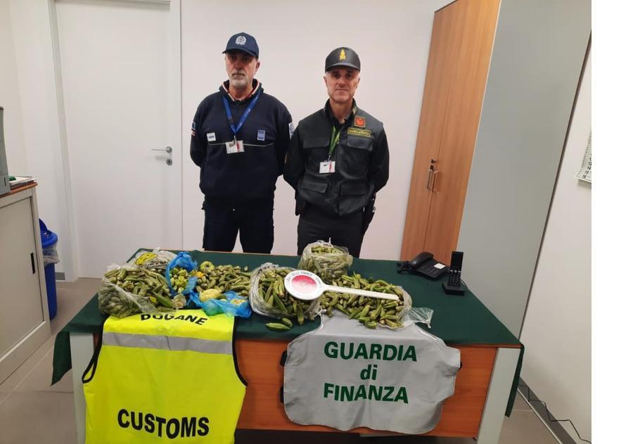 Alghero, in aeroporto sequestrati prodotti vegetali, talee e carne di pollo