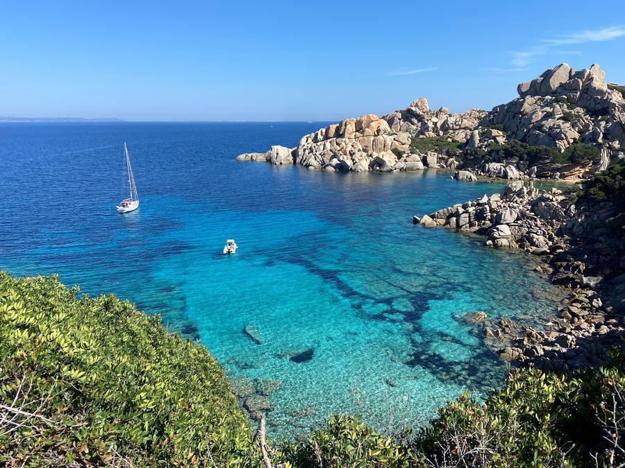 Santa Teresa, l’Amp di Capo Testa in campo per difendere gli squali dall’uomo