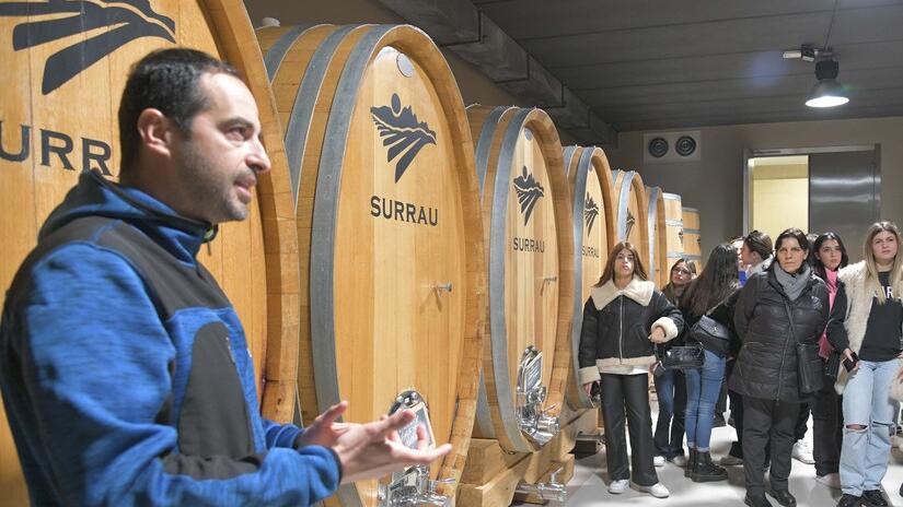 Surrau, in cantina non solo vino: cultura e tradizione nel cuore della Gallura