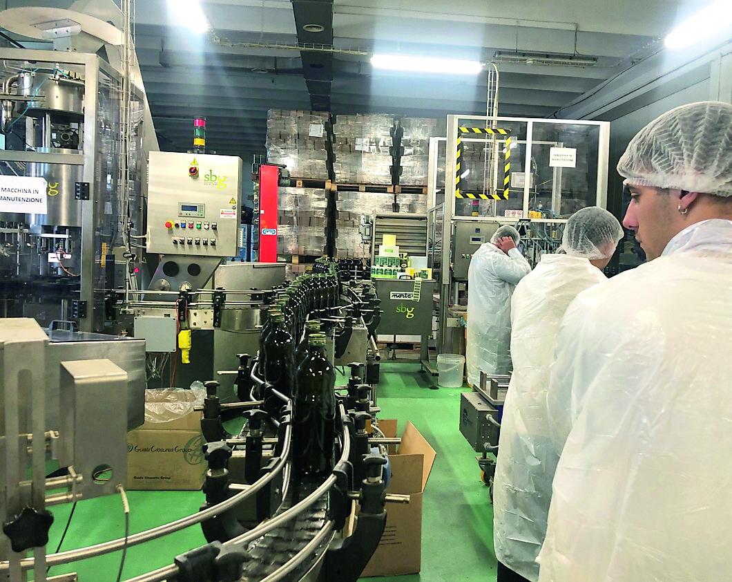 San Giuliano, l’industria dell’olio che non dimentica la sua origine contadina