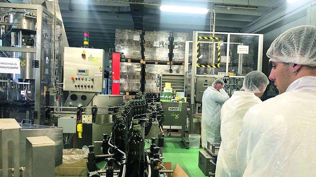 San Giuliano, l’industria dell’olio che non dimentica la sua origine contadina