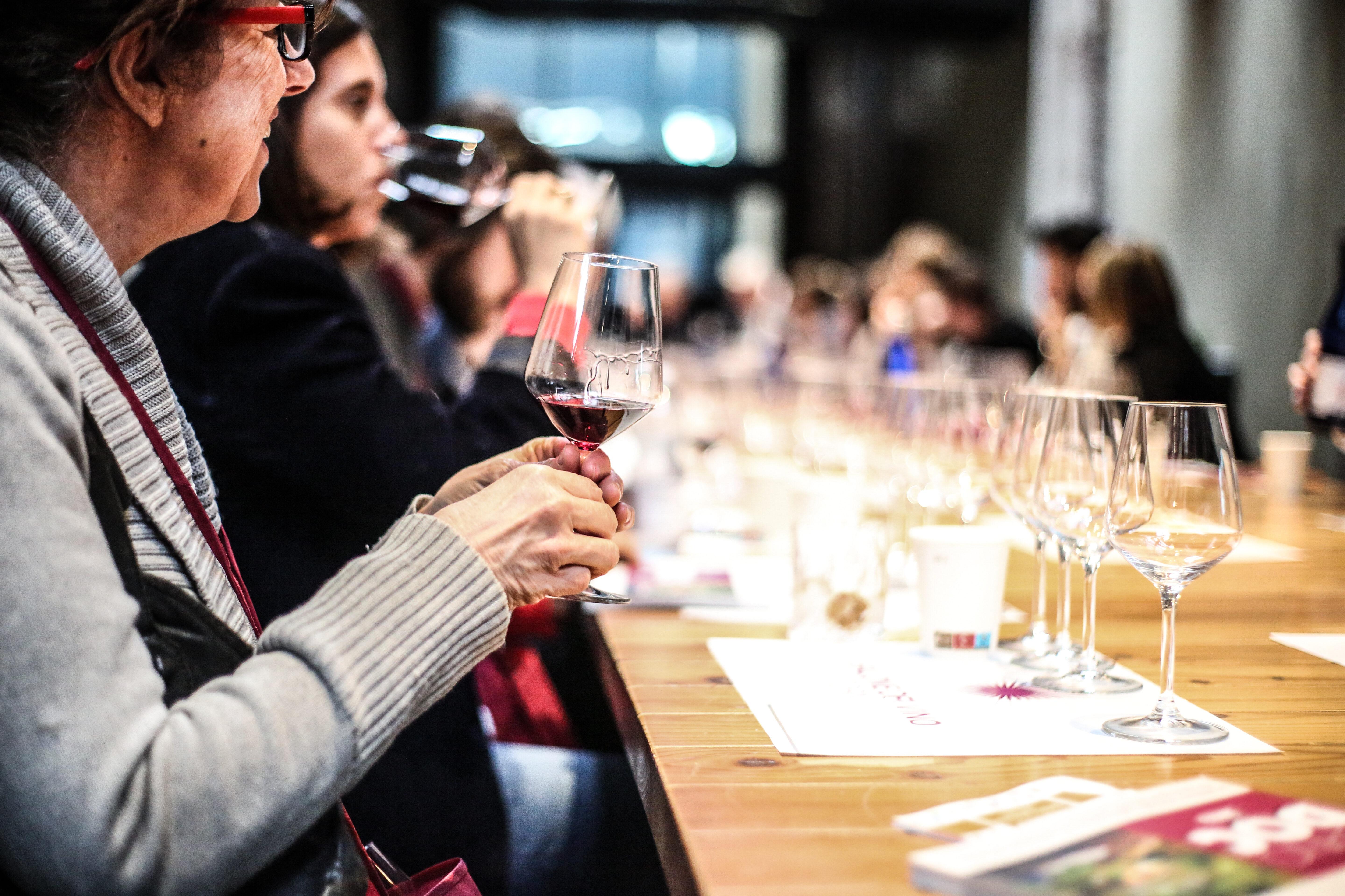 Ecco Heliantus, il rosso al top nasce dal Syrah<br>
