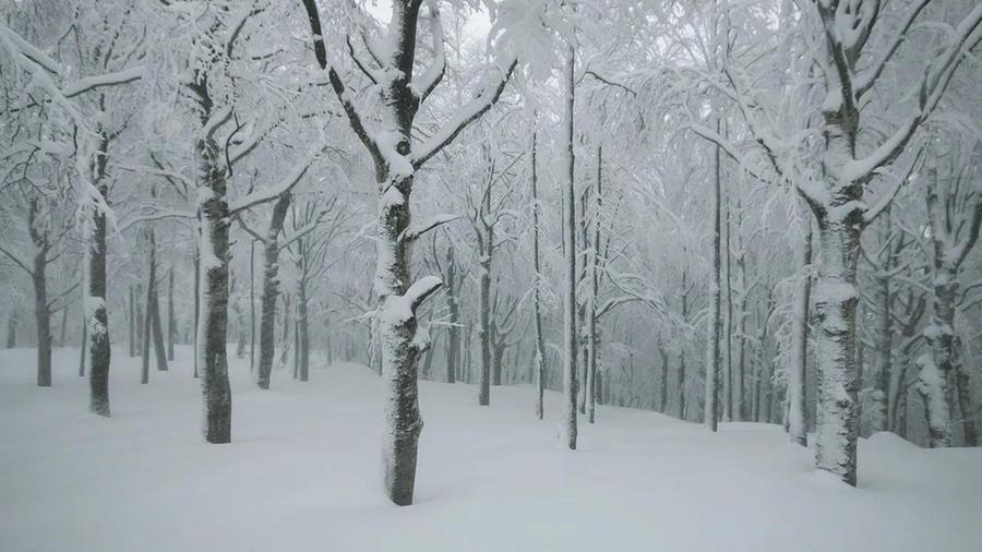 Meteo, torna la neve in Toscana: «Pioggia e fiocchi anche in alta collina, le tre fasi del peggioramento»