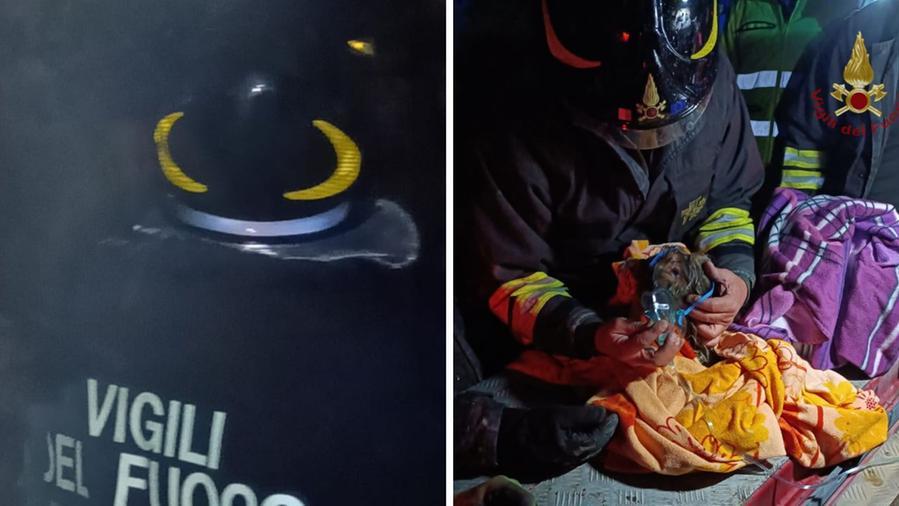 Grosseto, violento incendio in una cascina: morti alcuni animali