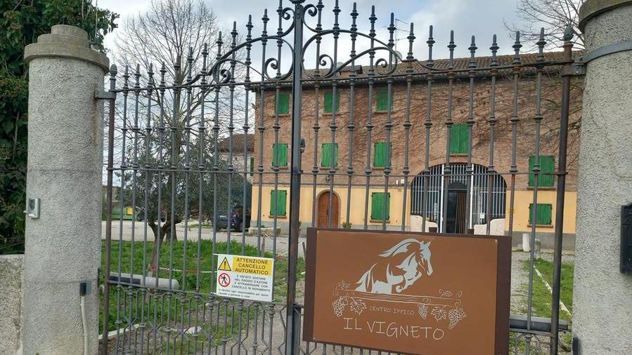 Carpi, è morta la 13enne colpita da un cavallo al maneggio