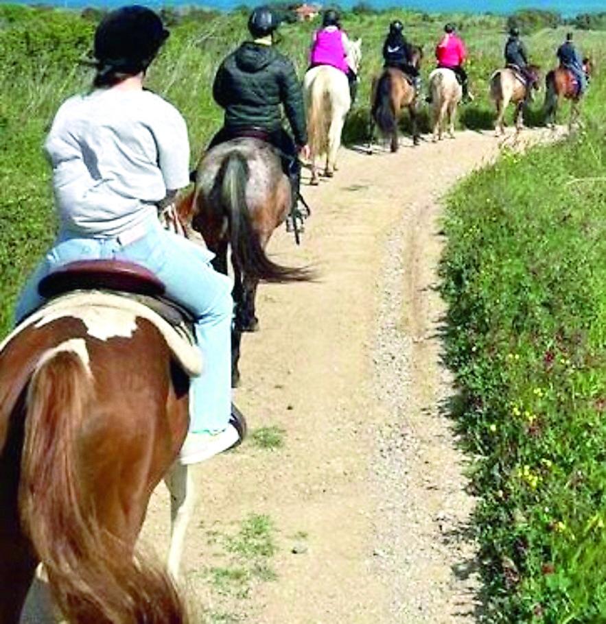 «Il cavallo non è aggressivo, ma per paura o felicità può essere imprevedibile»
