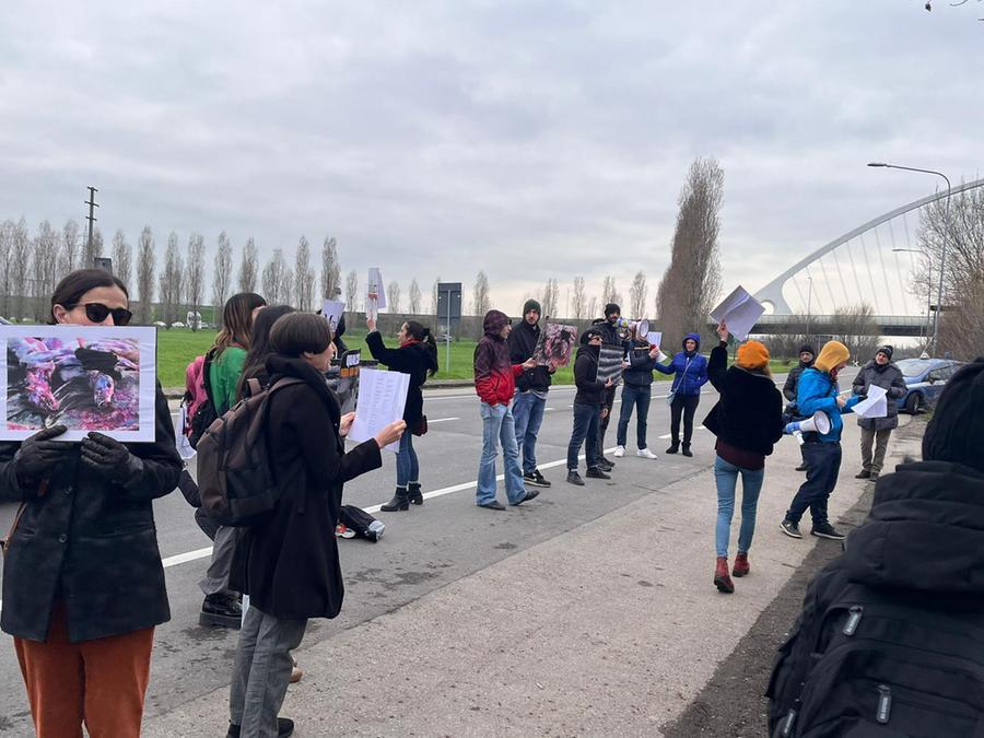 La protesta degli animalisti contro Max Mara