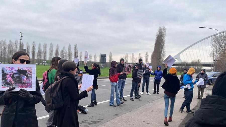 La protesta degli animalisti contro Max Mara