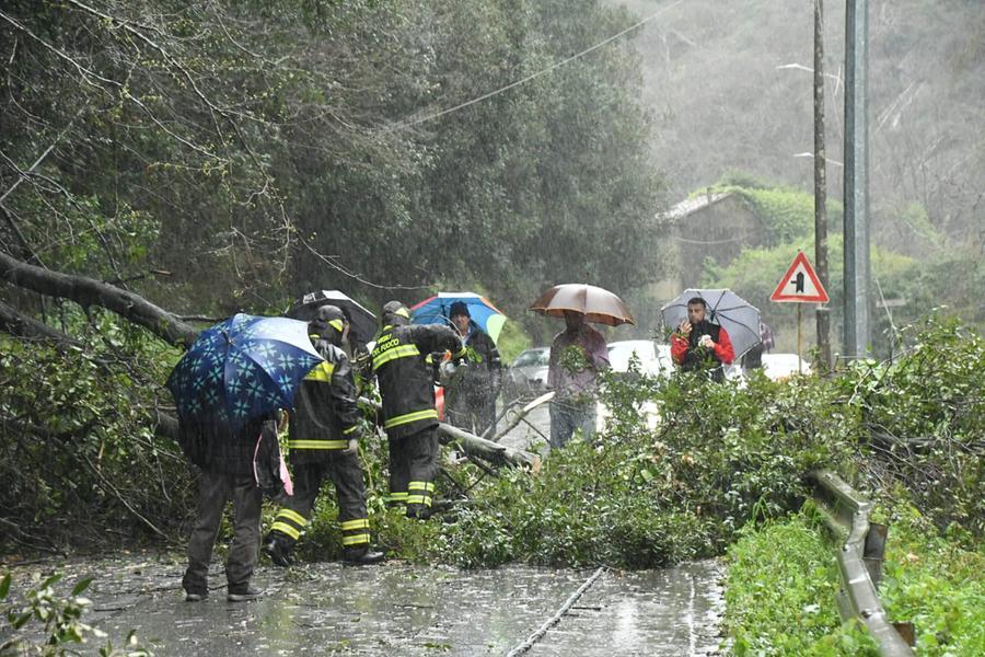 
	I disagi a Canevara, frazione di Massa (foto Claudio Cuffaro)

