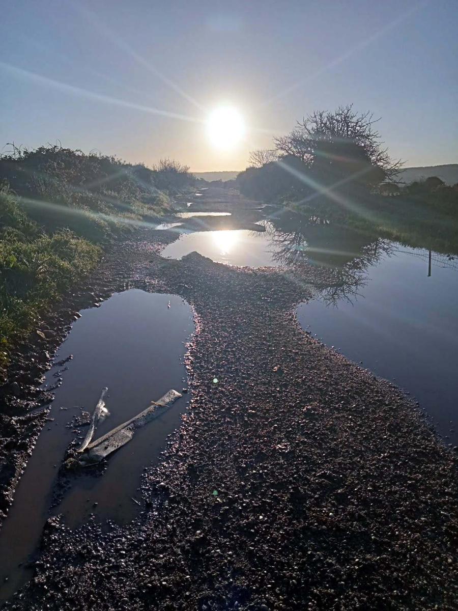 
	La situazione della strada provinciale 17 tra Milis e Paulilatino


