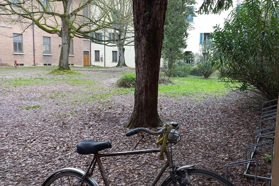 Ferrara, l’appello per salvare il giardino dell’Ariostea: «Bisogna intervenire»