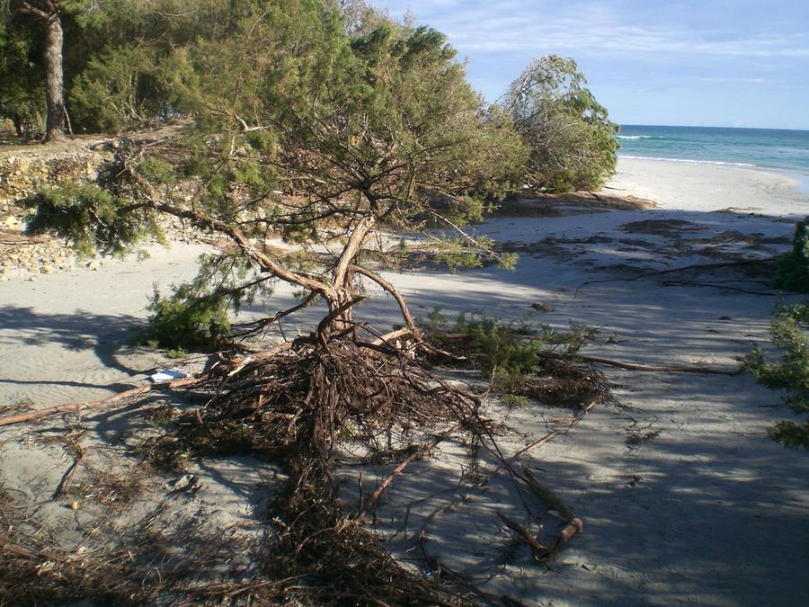 Allarme nel cuore della notte per un surfista disperso in mare a Orosei