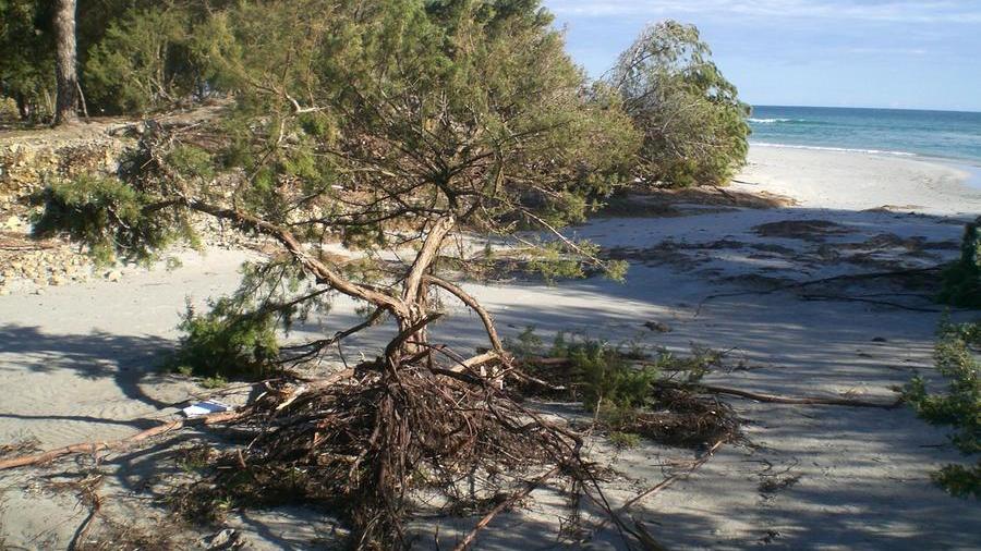 Allarme nel cuore della notte per un surfista disperso in mare a Orosei