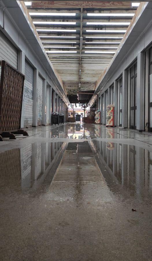 Comacchio, disastro galleria Fogli: allagata ormai da 25 anni