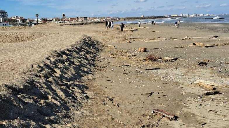 Lidi comacchiesi, il Po porta tonnellate di detriti: «Tutto è sulle nostre spalle»