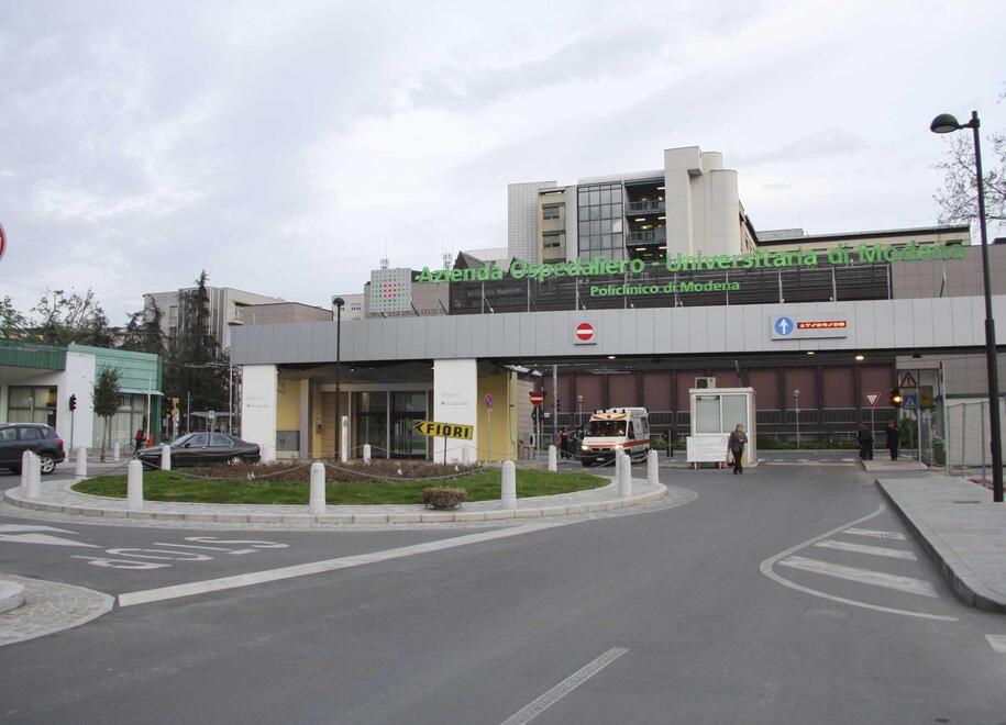 Verso le elezioni: sanità modenese, la prof Modena attacca: «Eccellenza? Lo era una volta»<br>
