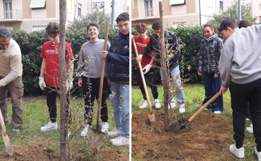 A Livorno ecco gli studenti green delle medie Mazzini: «Vi raccontiamo il nostro bosco diffuso»