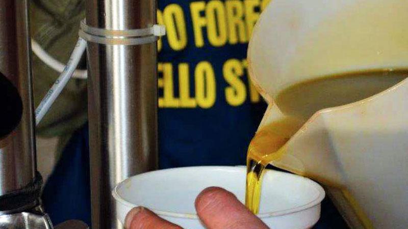 Frode sull’olio Igp, il giudice: «Non esiste metodo per stabilire se ha provenienza toscana»