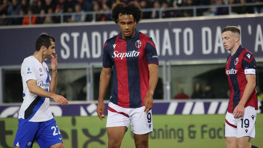 
	L'attaccante del Bologna Zirkzee

