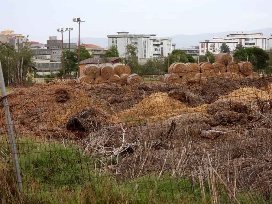 
	Il letame accumulato nei campi della SOE e ora smaltito

