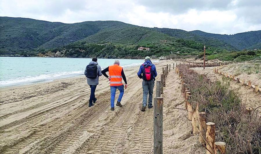 
	I lavori sulla spiaggia di Lacona

