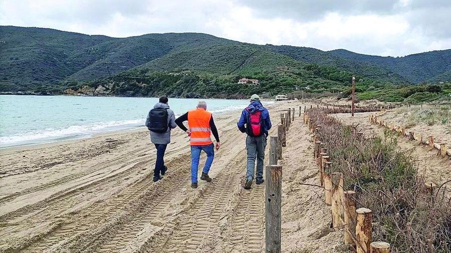 I lavori sulla spiaggia di Lacona