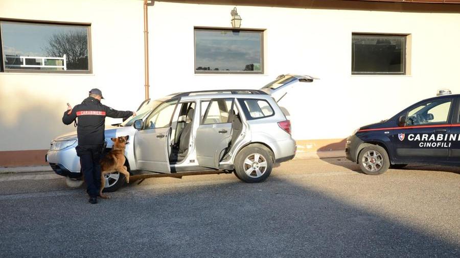 Droga in casa pronta per lo spaccio: arrestato operaio di Sant’Antioco