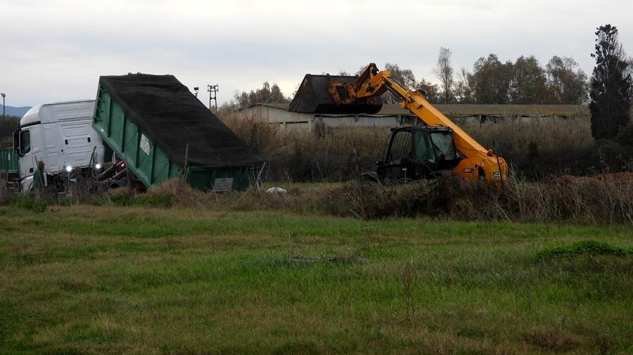 Le operazioni di carico del letame della SOE