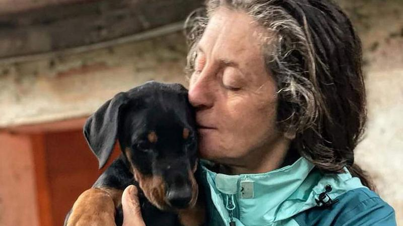 
	Simila Laiatici e i suoi cani

