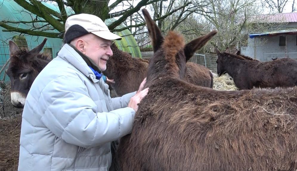 Gli asinelli di San Possidonio salvati dal macello. Il proprietario: «Grazie di cuore a chi mi ha aiutato. Ora sogno un progetto di pet therapy»<br type="_moz" />
