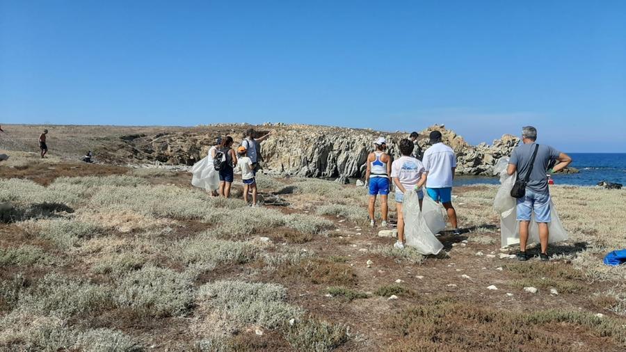 
	Una giornata ecologica degli anni passati all'isola di Mal di Ventre

