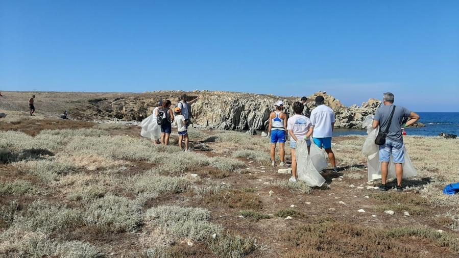 Una giornata ecologica degli anni passati all'isola di Mal di Ventre