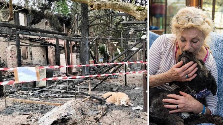 
	IIl rifugio distrutto dall'incendio ed&nbsp;Helga Wallrath

