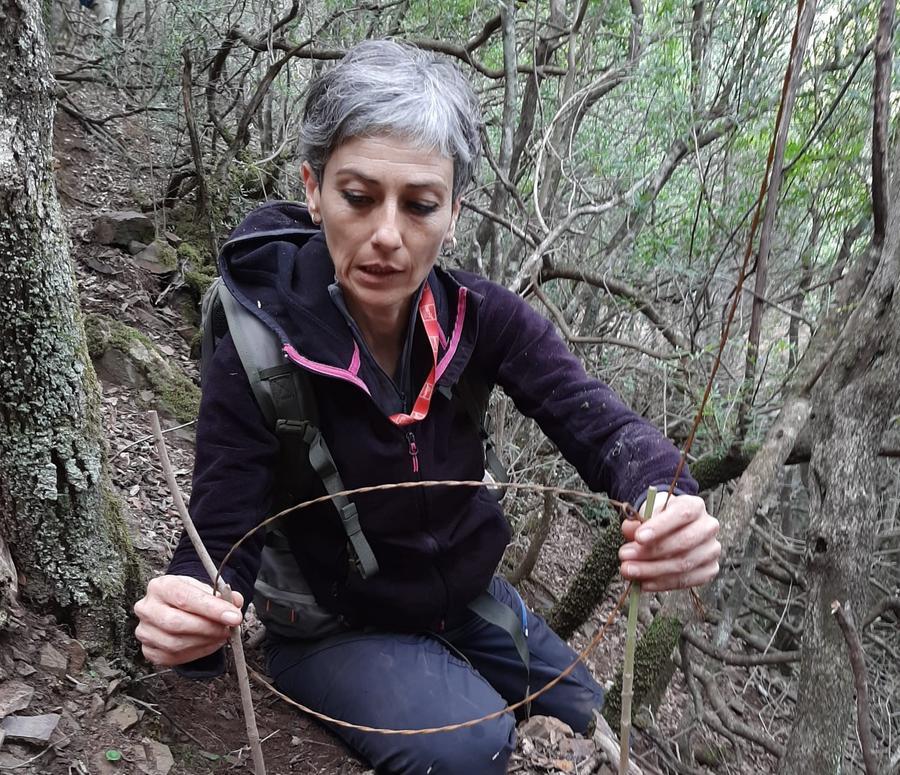 Lipu e carabinieri insieme contro i bracconieri: attività a Castiadas, Teulada e Gutturru Mannu