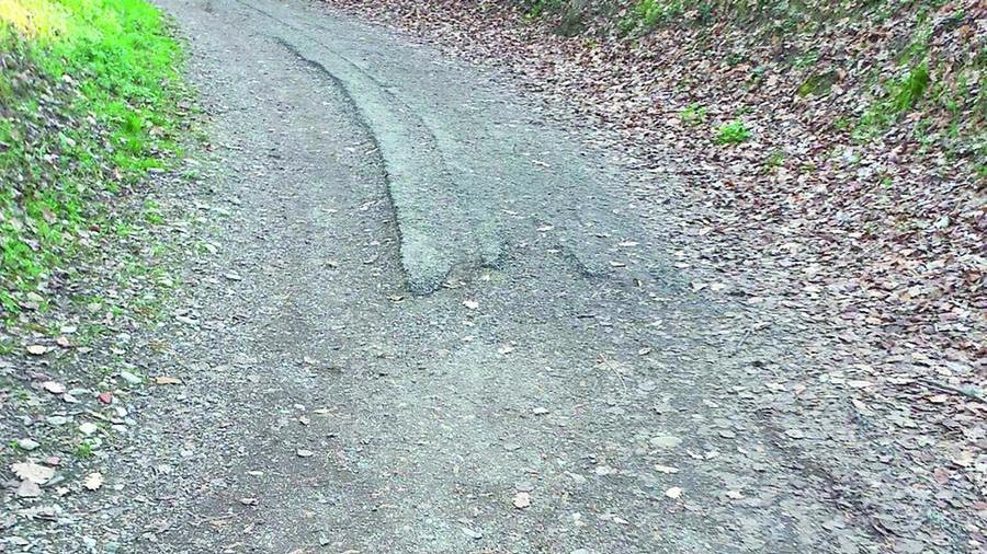 «Parco delle Caprette, la pista per le bici è pericolosa»