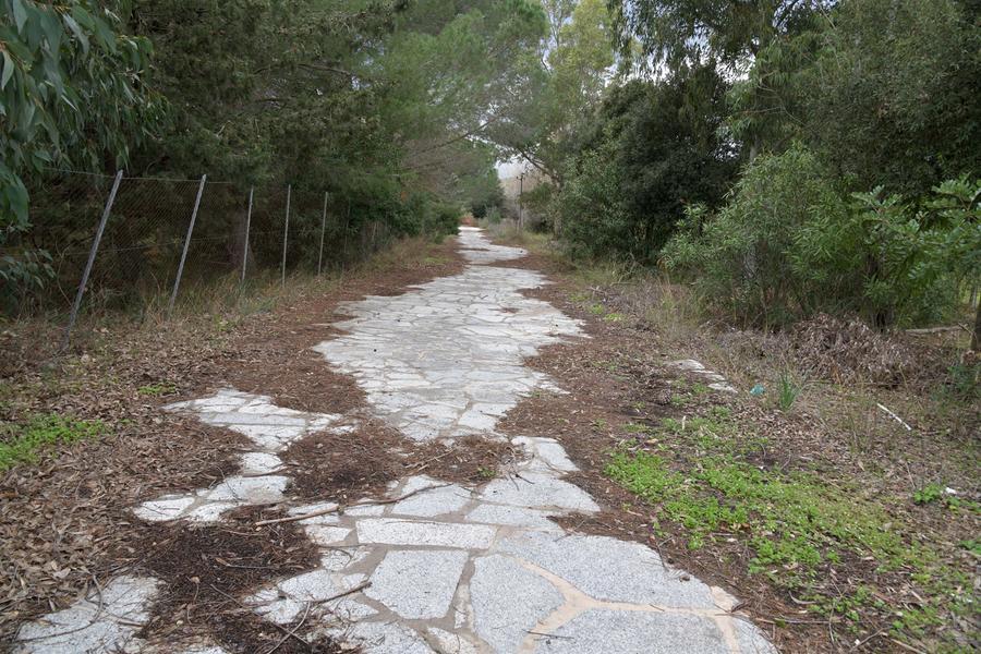 
	L'ingresso del parco del Padrongianus (foto Vanna Sanna)

