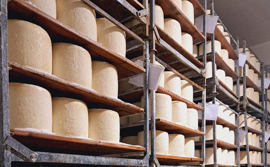 Crema e Pecorino romano Dop: tesori artigianali amati in tutto il mondo