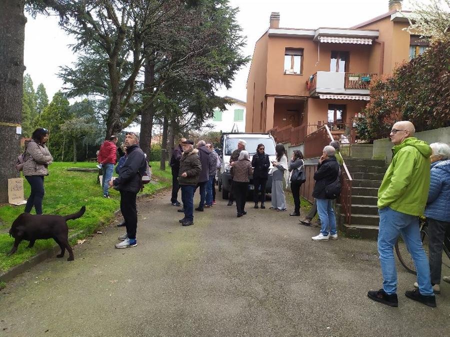 Salvi gli alberi di Codemondo dopo un lungo braccio di ferro