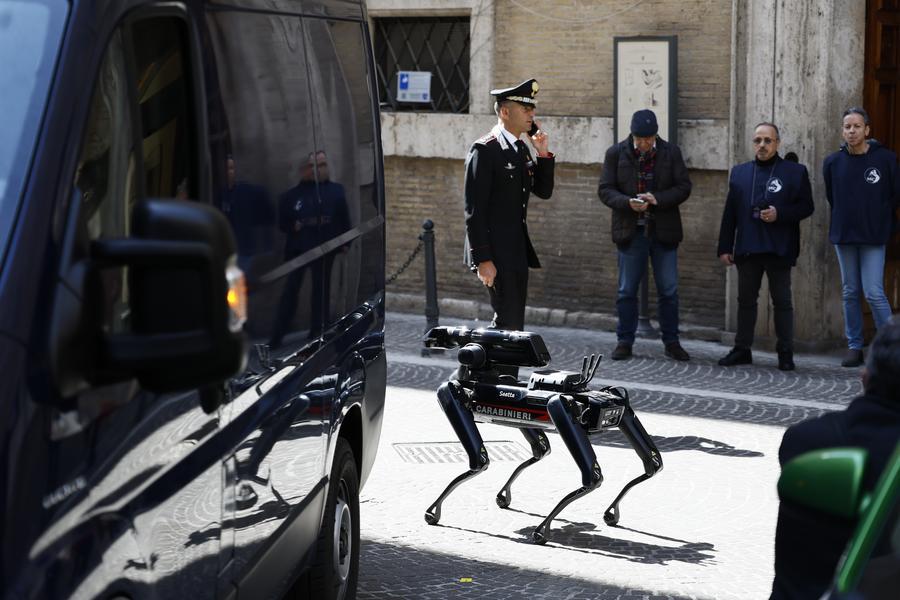 
	Il&nbsp; cane robot dei carabinieri entra nel palazzo del ministero della Cultura&nbsp;

