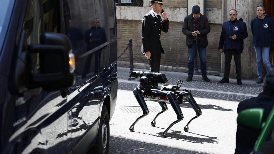 
	Il&nbsp; cane robot dei carabinieri entra nel palazzo del ministero della Cultura&nbsp;

