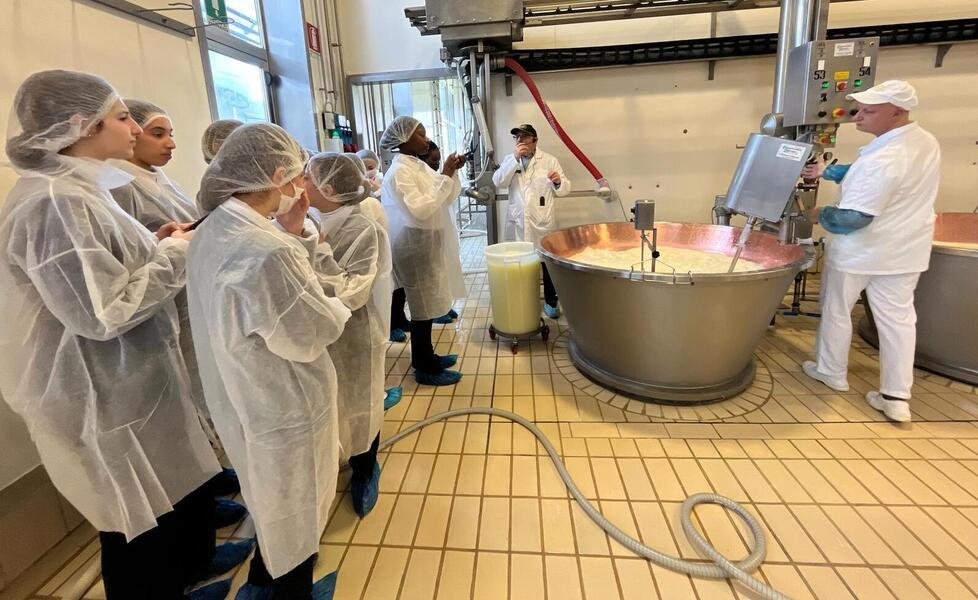 Parmigiano Reggiano, la tradizione è di casa al caseificio Tricolore