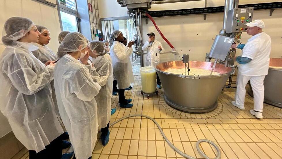 Parmigiano Reggiano, la tradizione è di casa al caseificio Tricolore