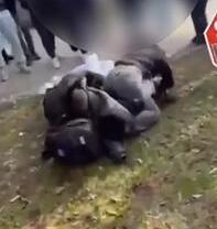 Ferrara, risse e spaccio fuori da scuola. Controlli a sorpresa con i cani