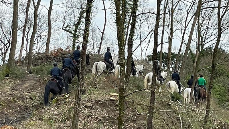 I carabinieri a cavallo nei boschi delle Cerbaie