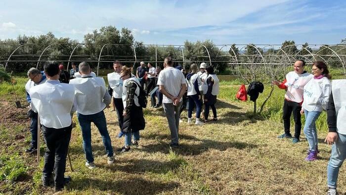 Iglesias, nasce un ortofrutteto nei terreni di Casa Emmaus