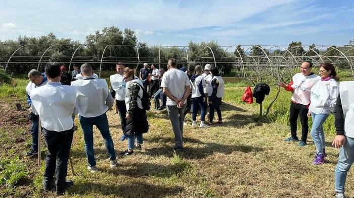 Iglesias, nasce un ortofrutteto nei terreni di Casa Emmaus