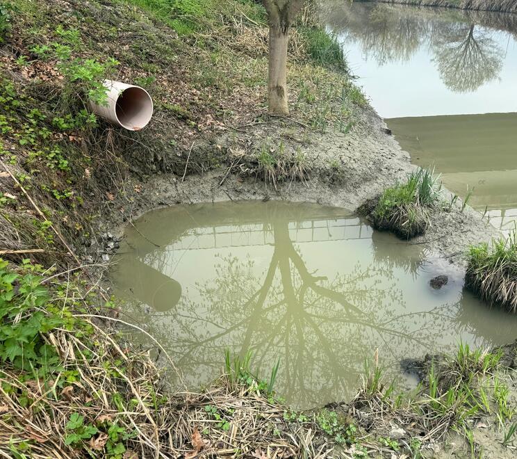 Ferrara, Upe denuncia: «Scarico irregolare nel canale Burana»