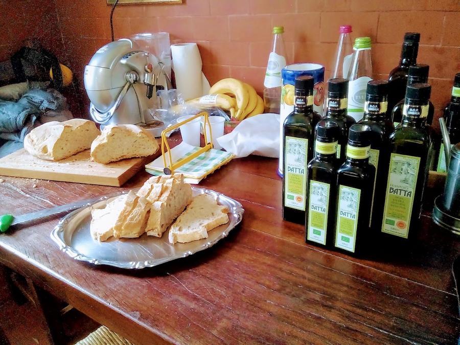 Italia e Spagna regine dell’extravergine ma l’alta qualità ormai è internazionale