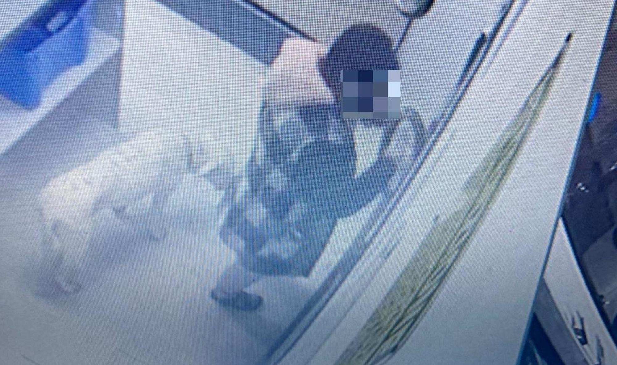 La donna accusata del furto con il cane in lavanderia