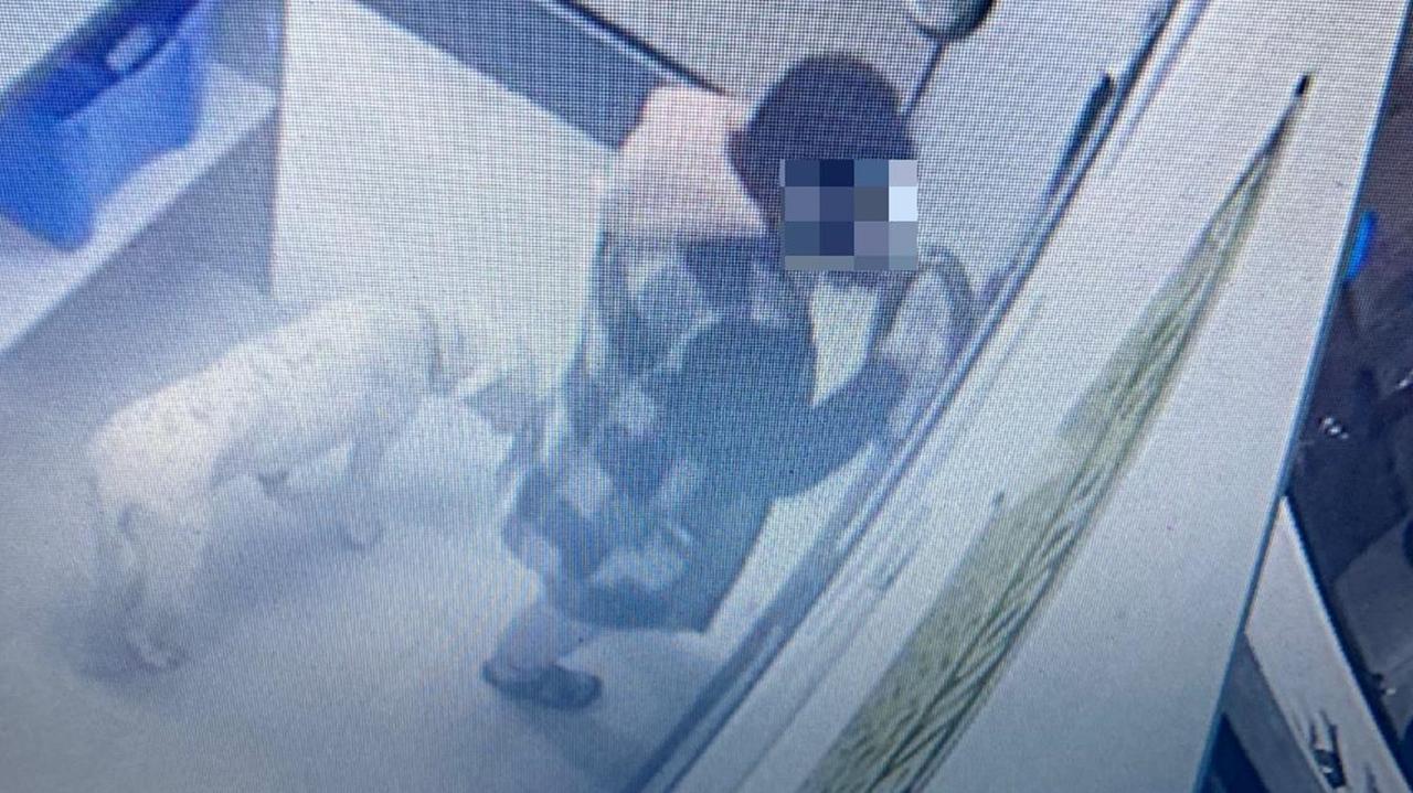 La donna accusata del furto con il cane in lavanderia